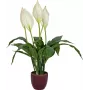 EUROPALMS kunstlepelplant, 60 cm 82505660