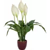 EUROPALMS kunstlepelplant, 60 cm 82505660
