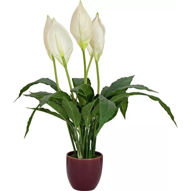 EUROPALMS kunstlepelplant, 60 cm 82505660