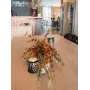 EUROPALMS Kunstmatige eucalyptusstengel, oranje, 110 cm 82505621