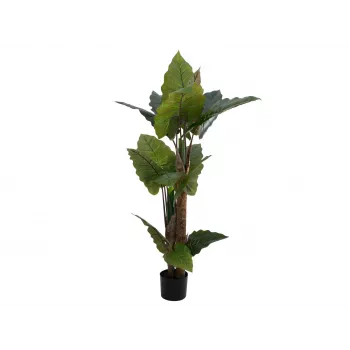 EUROPALMS Alocasia kunstplant, 140 cm, groen, zwarte pot 82508464