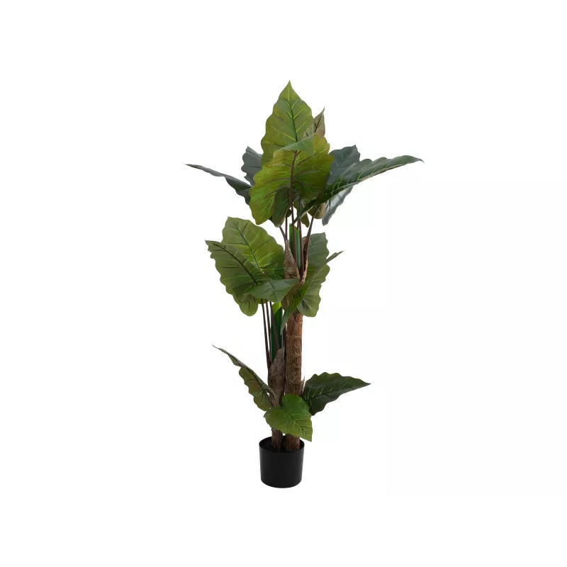 EUROPALMS Alocasia kunstplant, 140 cm, groen, zwarte pot 82508464