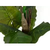EUROPALMS Alocasia kunstplant, 140 cm, groen, zwarte pot 82508464
