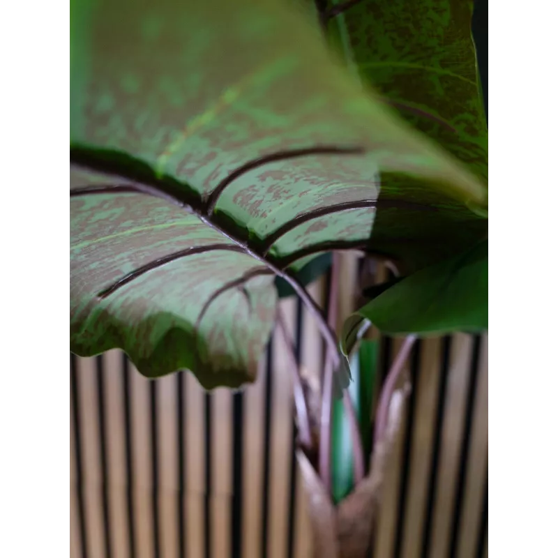 EUROPALMS Alocasia kunstplant, 140 cm, groen, zwarte pot 82508464