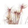 EUROPALMS Sunny-gras kunstgrasplant, 120 cm, groen met zwarte pot 82600172