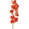EUROPALMS Cymbidium tak, kunstmatig, rood, 90 cm (82530315)