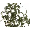 EUROPALMS kunstolijfboom, 90 cm 82506422