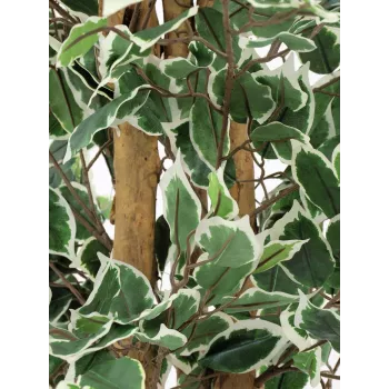 EUROPALMS zilverficus Benjamina kunstplant, 180 cm 82506116