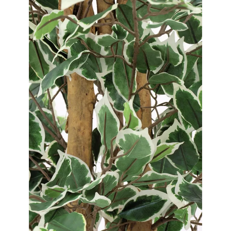 EUROPALMS zilverficus Benjamina kunstplant, 180 cm 82506116