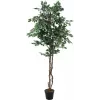 EUROPALMS zilverficus Benjamina kunstplant, 180 cm 82506116