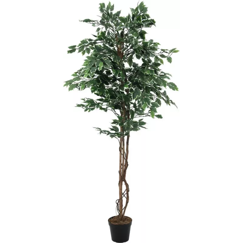 EUROPALMS zilverficus Benjamina kunstplant, 180 cm 82506116