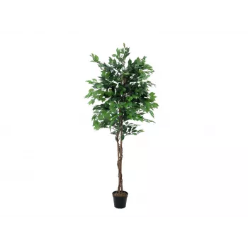 EUROPALMS Ficus Benjamina meerstammige kunstplant, 210cm 82506127