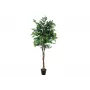 EUROPALMS Ficus Benjamina meerstammige kunstplant, 210cm 82506127
