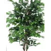 EUROPALMS Ficus Benjamina meerstammige kunstplant, 210cm 82506127