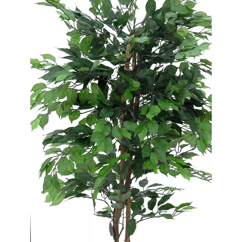 EUROPALMS Ficus Benjamina meerstammige kunstplant, 210cm 82506127