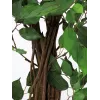 EUROPALMS Ficus Benjamina meerstammige kunstplant, 210cm 82506127