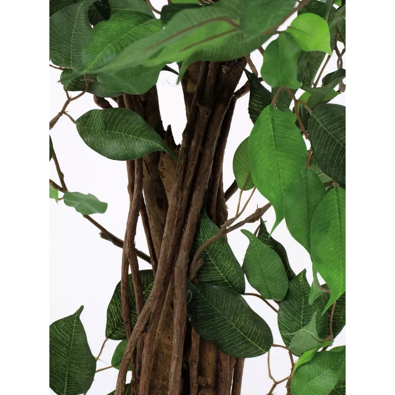 EUROPALMS Ficus Benjamina meerstammige kunstplant, 210cm 82506127