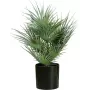 EUROPALMS kunstmatige waaierpalm in pot, 55 cm 82509401