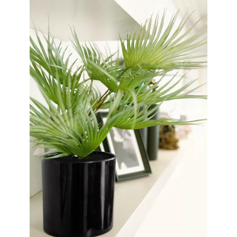 EUROPALMS kunstmatige waaierpalm in pot, 55 cm 82509401