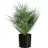 EUROPALMS kunstmatige waaierpalm in pot, 55 cm 82509401