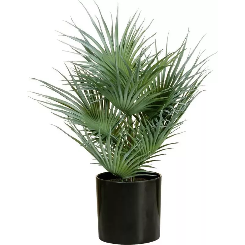 EUROPALMS kunstmatige waaierpalm in pot, 55 cm 82509401