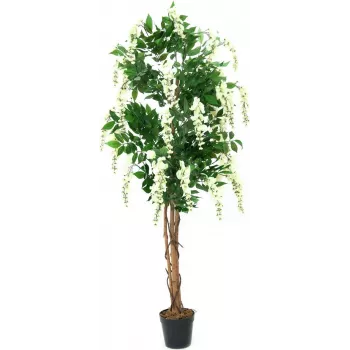 EUROPALMS Goldregen kunstplant, wit, 150cm (82507105)