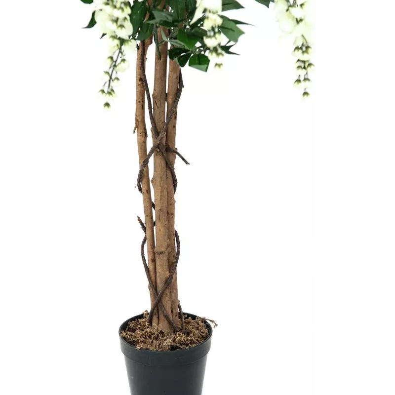 EUROPALMS Goldregen kunstplant, wit, 150cm (82507105)