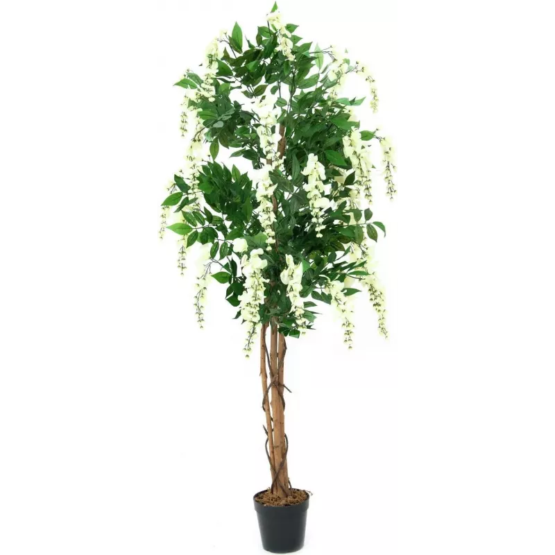 EUROPALMS Goldregen kunstplant, wit, 150cm (82507105)