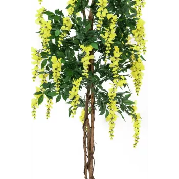 EUROPALMS Goldregen kunstplant, geel, 150cm 82507115