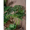 EUROPALMS Monstera deliciosa kunstplant, 90cm 82600220