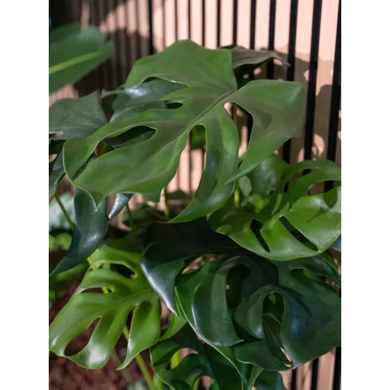 EUROPALMS Monstera deliciosa kunstplant, 90cm 82600220