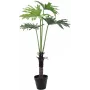 EUROPALMS Split-Leaf Philodendron kunstplant, 120 cm 82600222
