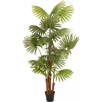 EUROPALMS kunstmatige waaierpalm, 165 cm 82509305