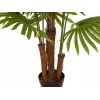EUROPALMS kunstmatige waaierpalm, 165 cm 82509305