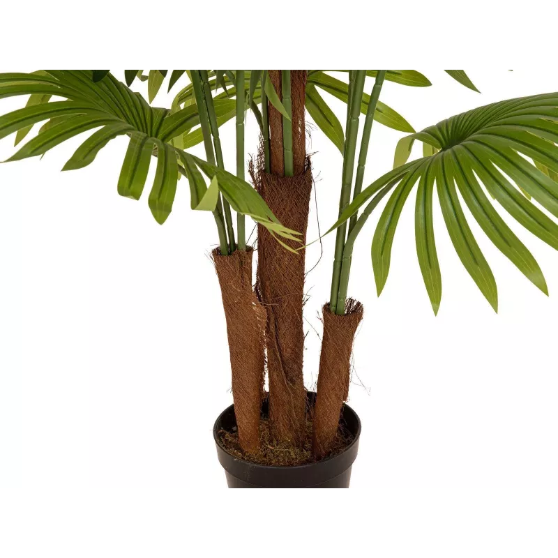 EUROPALMS kunstmatige waaierpalm, 165 cm 82509305