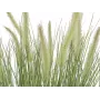 EUROPALMS bloeiend kunstmatig siergras, 70cm, witte bloemen, zwarte pot 82600147