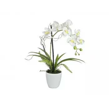 EUROPALMS kunstmatige orchideeënarrangement 1, in pot, wit-roze, 60 cm 82530346