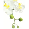 EUROPALMS kunstmatige orchideeënarrangement 1, in pot, wit-roze, 60 cm 82530346