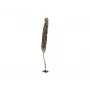 EUROPALMS Cacho Coco kunstmatige kokospalm, 120-190 cm, echte houten stam, 12 bladeren, indoor 83502349
