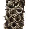 EUROPALMS Cacho Coco kunstmatige kokospalm, 120-190 cm, echte houten stam, 12 bladeren, indoor 83502349