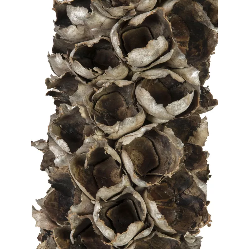 EUROPALMS Cacho Coco kunstmatige kokospalm, 120-190 cm, echte houten stam, 12 bladeren, indoor 83502349