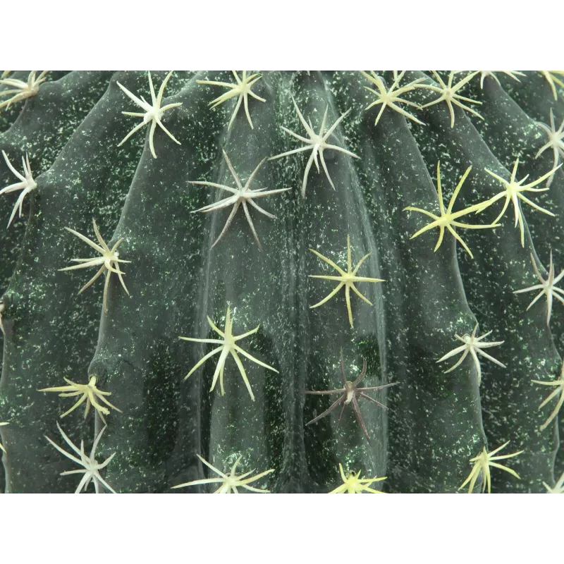 EUROPALMS kunstbolcactus, 34 cm 82600063