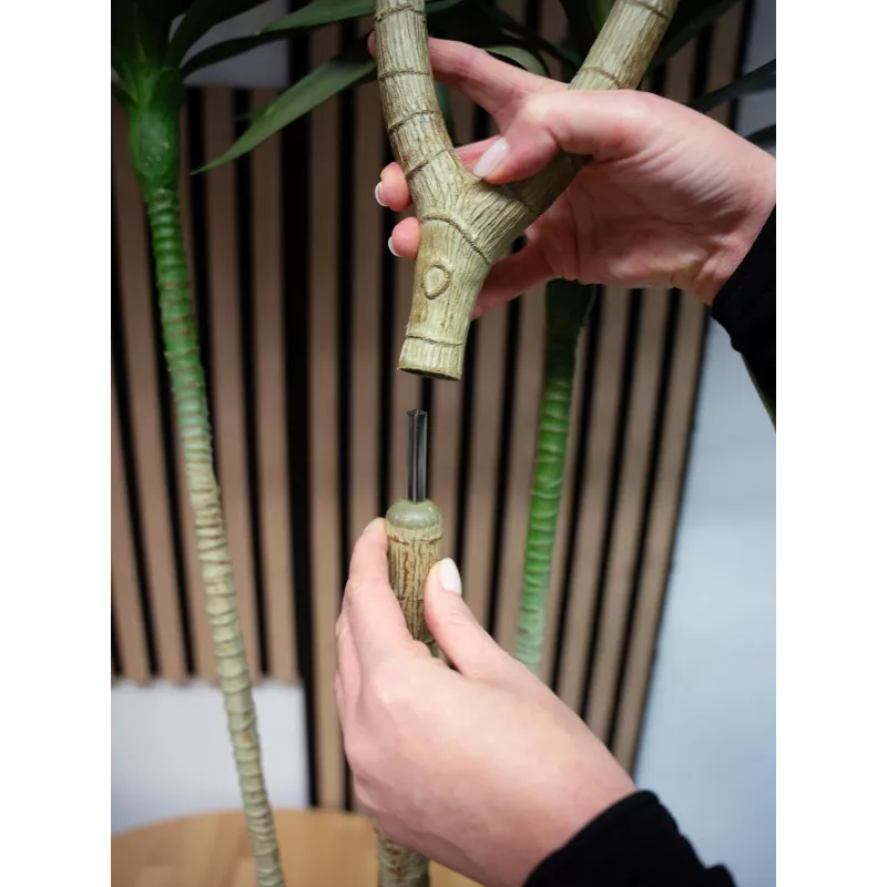 EUROPALMS Dracena kunstplant, groen, 170 cm 82505799