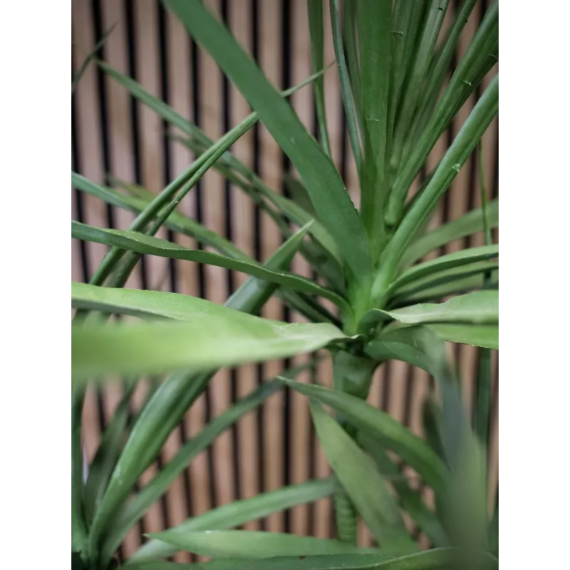 EUROPALMS Dracena kunstplant, groen, 170 cm 82505799