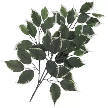 EUROPALMS kunstficustak, verpakking van 12 82506100
