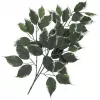 EUROPALMS kunstficustak, verpakking van 12 82506100