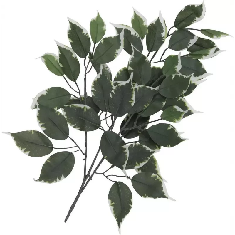 EUROPALMS kunstficustak, verpakking van 12 82506100