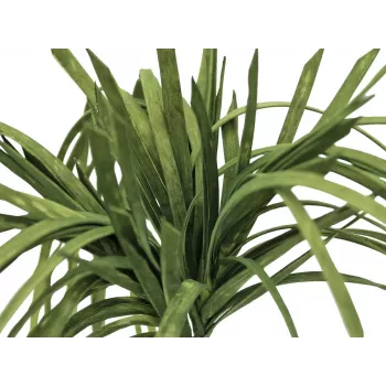 EUROPALMS kunstzeegras (EVA), groen 82531062