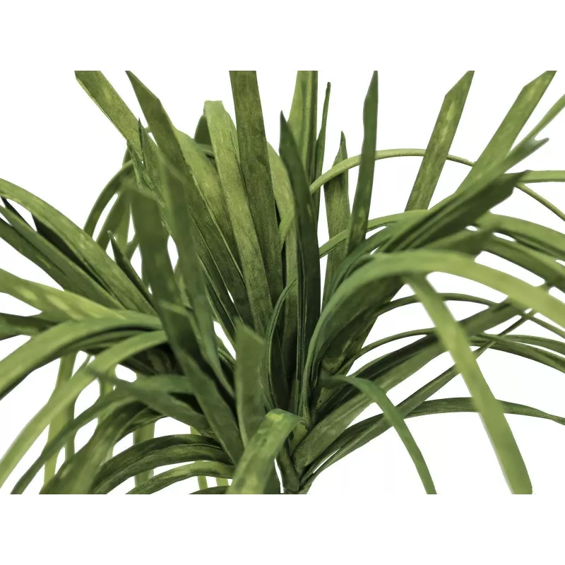 EUROPALMS kunstzeegras (EVA), groen 82531062