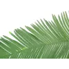 EUROPALMS kunstmatige kokos-koningspalmblad, 180cm 82509847